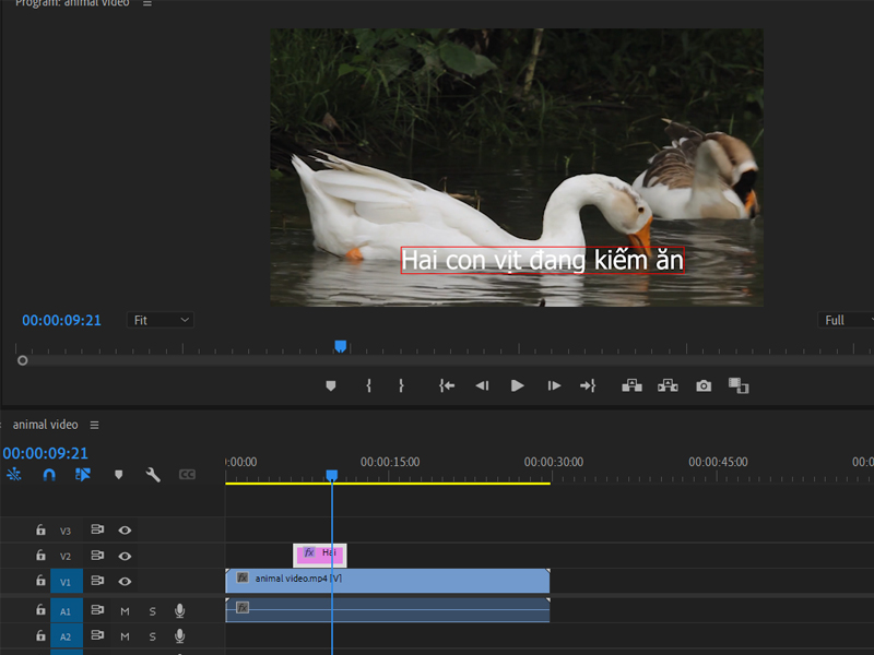 chèn chữ trong Adobe Premiere chèn chữ trong Adobe Premiere