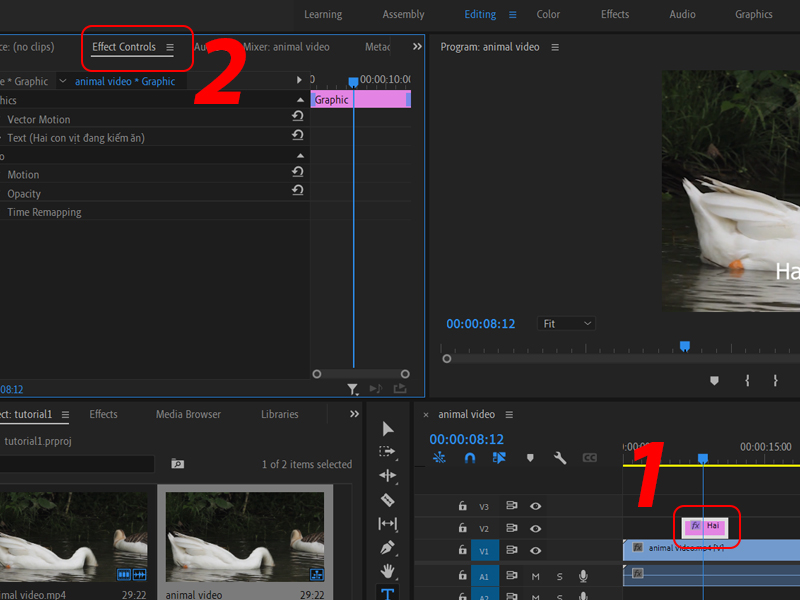 chèn chữ trong Adobe Premiere chèn chữ trong Adobe Premiere