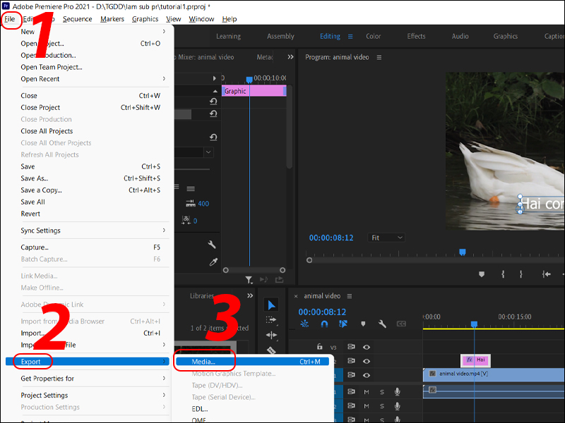chèn chữ trong Adobe Premiere chèn chữ trong Adobe Premiere