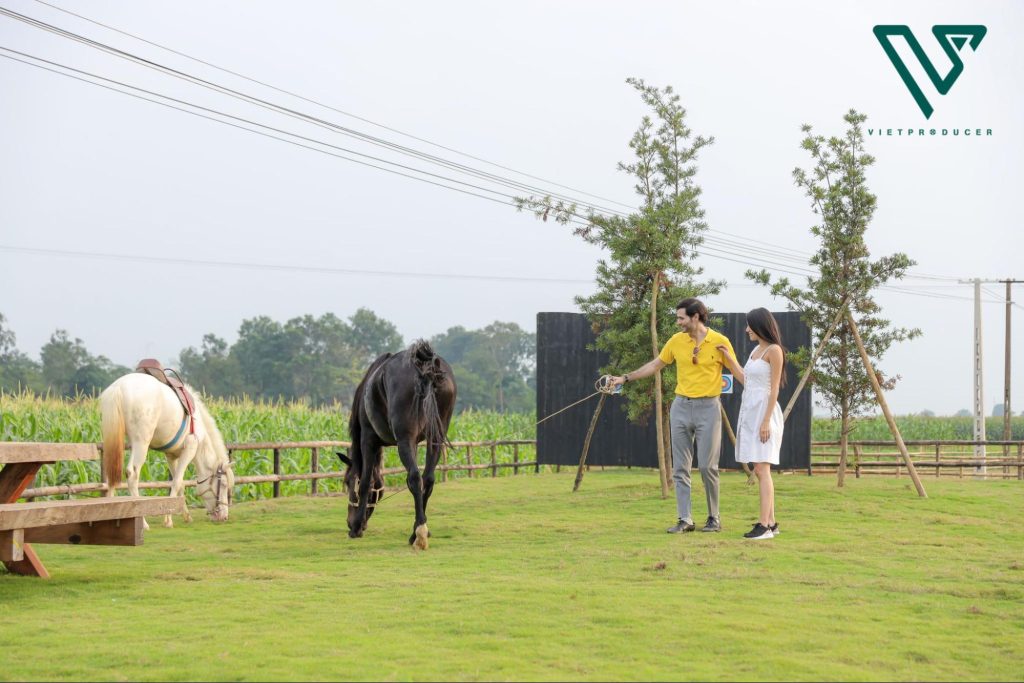 du lịch online du lịch online