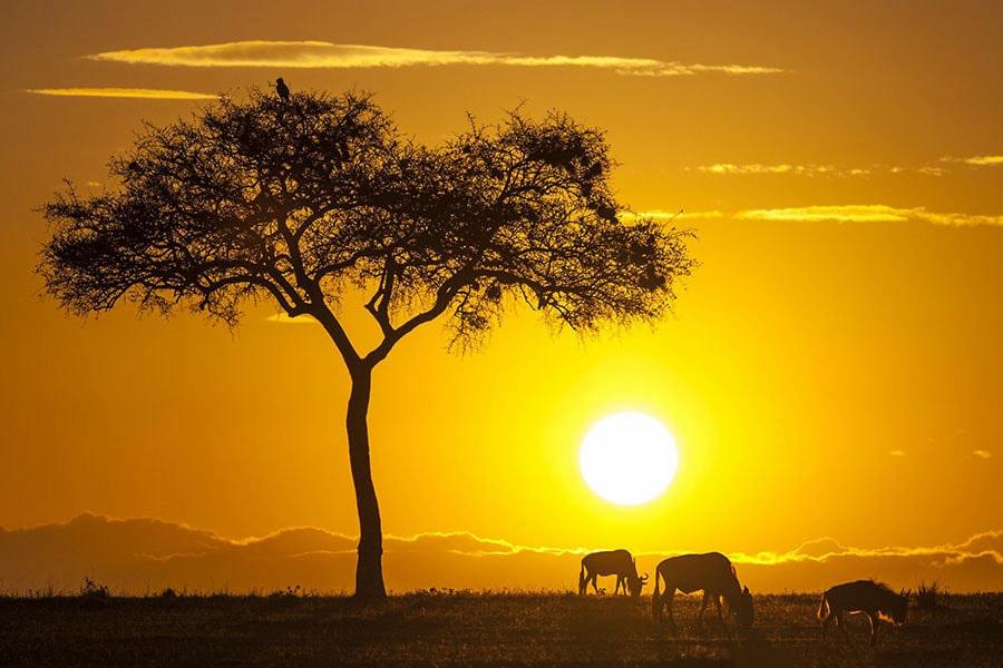 kỹ thuật quay phim kỹ thuật quay phim