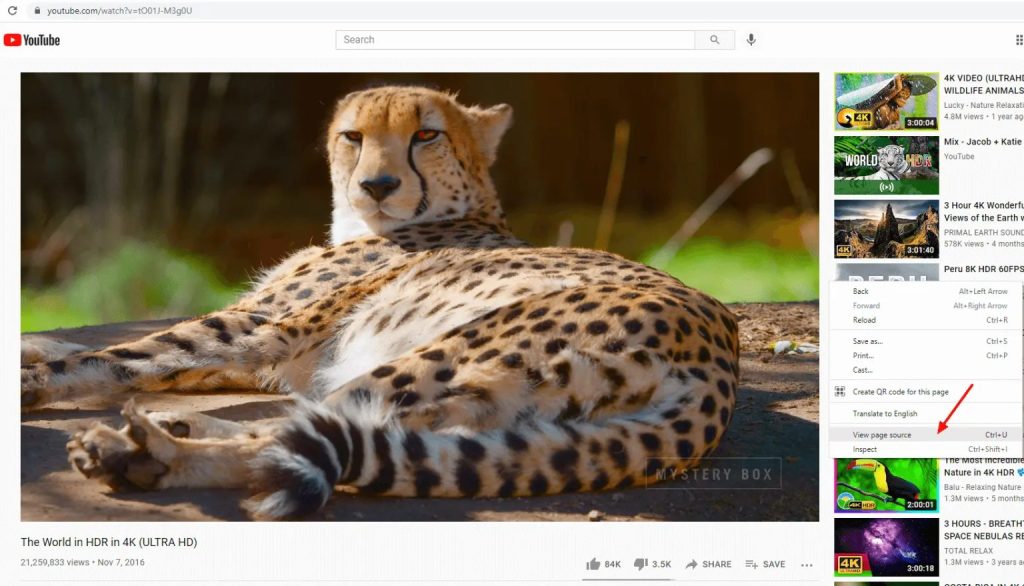 video riêng tư video riêng tư