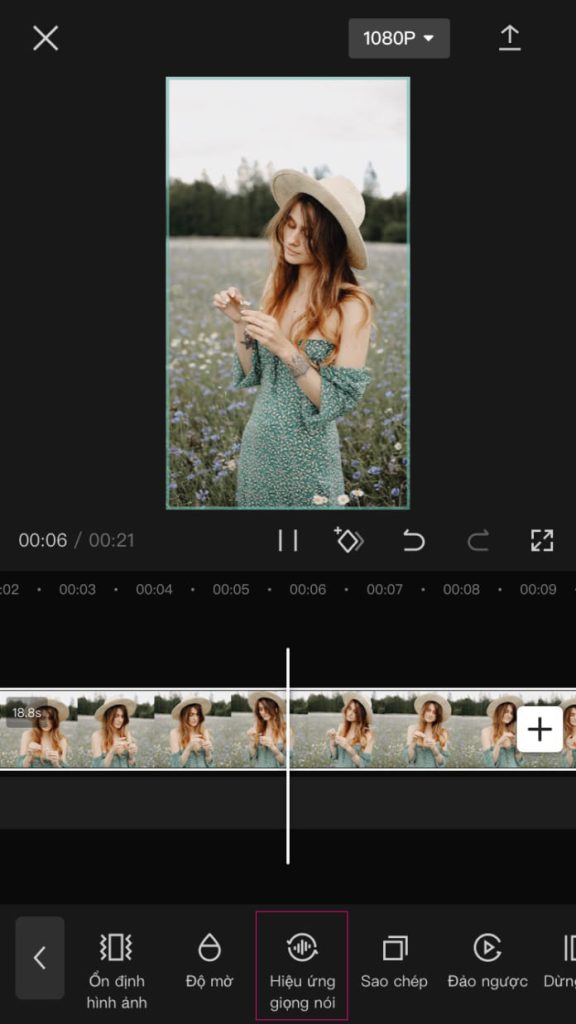 cách chỉnh giọng nói trong video cách chỉnh giọng nói trong video