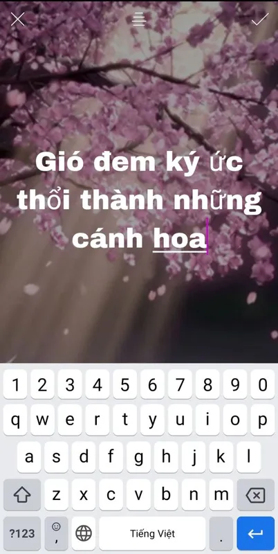 cách làm viền trắng cho ảnh trong picsart