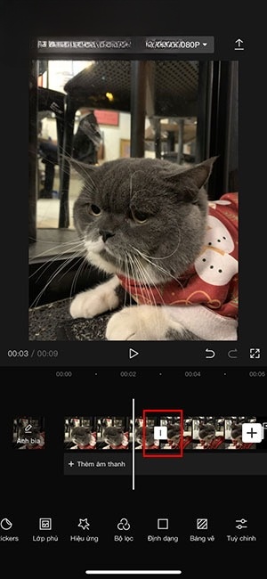 cách slow motion video trên capcut