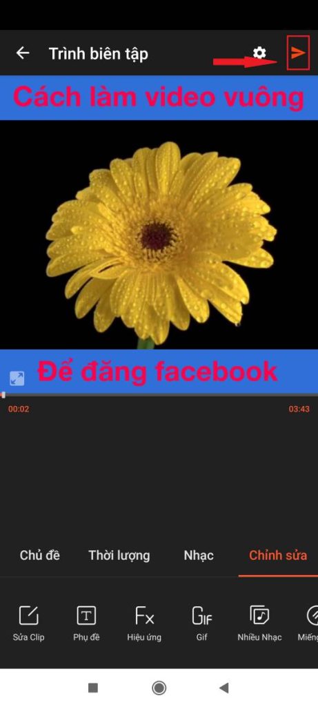 làm video vuông làm video vuông