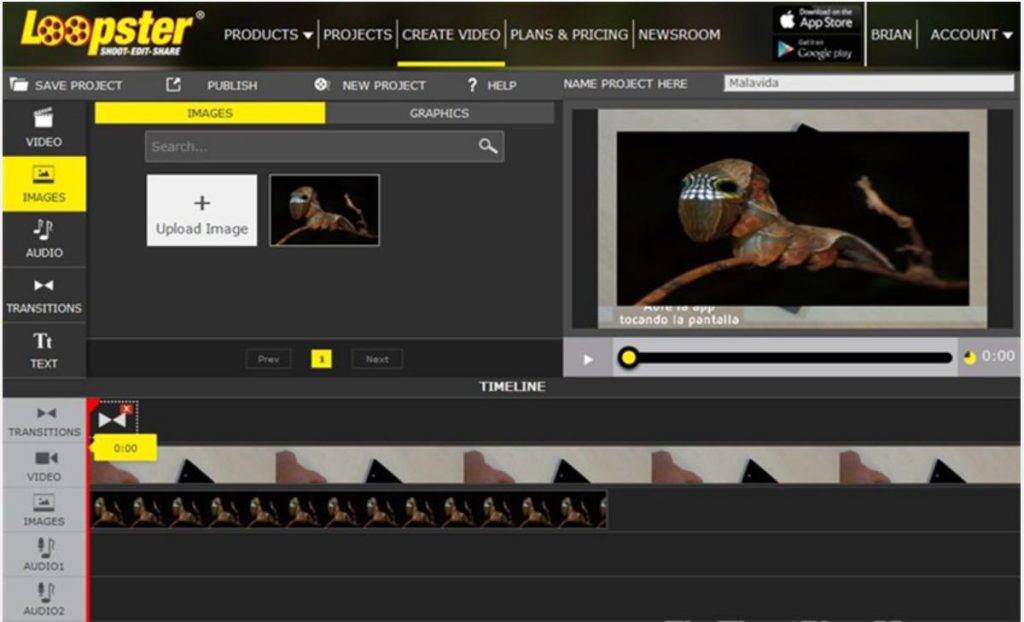 online edit video online edit video
