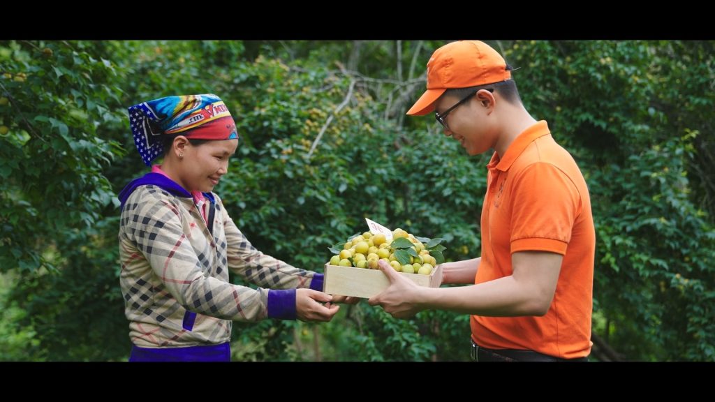 phim doanh nghiệp có kịch bản hay phim doanh nghiệp có kịch bản hay